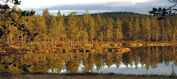 Retkiä ja reissuja